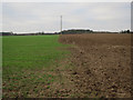Crop boundary by Farm Road in NR28 9LT