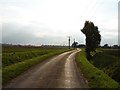 Looking Along Gypsy Lane in PE12 9HJ