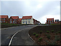 New housing off Larpool Lane in YO22 4FY