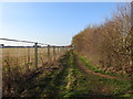 Track leading to Dereham Windmill in NR20 3TJ