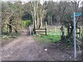 Path heading into Wendover Woods in HP22 5QD