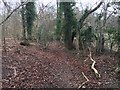 Path by Buckland Hoo in HP23 6JY