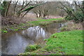 Stream near Church Farm in SO20 6EB