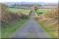 Looking down Cow Drove Hill into the Test Valley in SO20 6PW