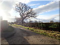 Track from Green Lane, heading south in Higher Kinnerton Community