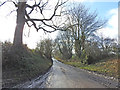 Rural road south of Paston Green in NR28 9SY