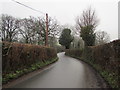 Hedge-lined road towards Llangenny, Powys in NP8 1ET