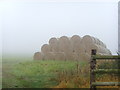 Foggy hay bales in TF10 8LY
