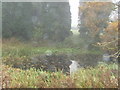 Pond near New Lodge in TF2 7QL