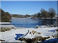 Part-frozen pond, Douglas Estate in ML11 0QG