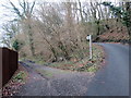 Llwybr ger Celliceubren / Path near Celliceubren in SA11 5EA