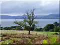 The Firth of Clyde from Routenburn Road in PA17 5HE