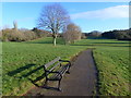 Sunny winter morning, Campion Hills, Royal Leamington Spa in CV32 7PW