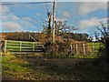 Farm gates on Gordon's Lane in DT9 6EW
