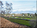Moss-covered roofs of poultry farm in DH1 5PP