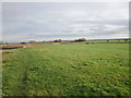 Grass field by the River Witham in NG24 2SJ