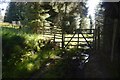Gate, Glen Banvie Wood in PH18 5UA