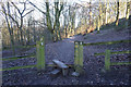 Kirklees Way at Cliff Wood in LS27 0LR