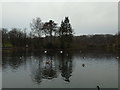Boating lake, Queen's Park in OL10 1WA