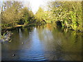 River Colne in Rickmansworth in WD3 1PD