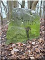 Old Boundary Marker in Loggerheads Country Park in CH7 5LQ