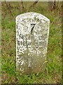 Old Milestone by the A48, Chaxhill, Westbury on Severn Parish in GL14 1QT