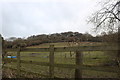 Field by Pednor Road in HP5 2SZ