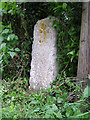 Old Milestone by London Road, east of Little Horkesley in CO6 4DA