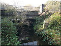 Coney Green - River Rother passes under Railway in S42 5LR