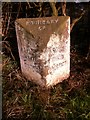Old Boundary Marker by the A583, north west of Kirkham in PR4 2EX