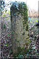 Old Milestone by the A4095, east of Northleigh in OX29 6AG