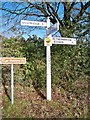 Direction Sign - Signpost at Bosneives, Withiel, Cornwall in PL30 5NQ
