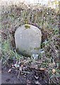 Old Milestone south east of Winswell in EX38 8QD