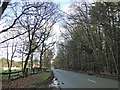 Short Thorn Road near the sawmills in NR10 5NT