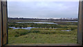View from the Lookout hide, RSPB Middleton Lakes Nature Reserve in B77 1LX