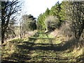 Bridleway in Eppleby parish in Eppleby