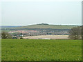 View east from Hinton Manor Lane in PO8 0TR