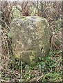 Old Milestone east of South Wraxhall in SN12 8NW