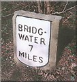 Old Milestone in Buncombe Wood, Broomfield Parish in TA5 1AX