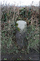 Old Milestone by the B3217, south of Atherington in EX37 9HU