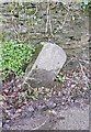 Old Milestone by Goodleigh Road, Goodleigh in EX32 7NR