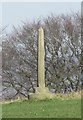 Old Wayside Cross in Quarnford Parish in ST13 7LR