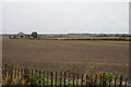 Prepared field by Weddington Lane in Caldecote