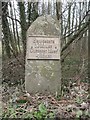 Old Milestone by the B4363, south west of Kinlet in DY12 3DD