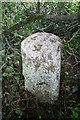 Old Milestone by the A3052, Hawkerland in EX5 2JJ