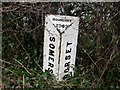 Old Boundary Marker east of Hinton Cross, Mudford Parish in BA22 8BB
