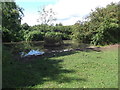 Small pond near Cleeve Prior in WR11 8LG