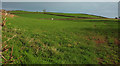 Field above Longcombe in TQ9 6PN