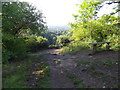 Bench and Viewpoint, Blaise Castle folly in BS11 0UX