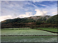 Farmland west of the A470 near Betws-y-Coed in LL24 0HE